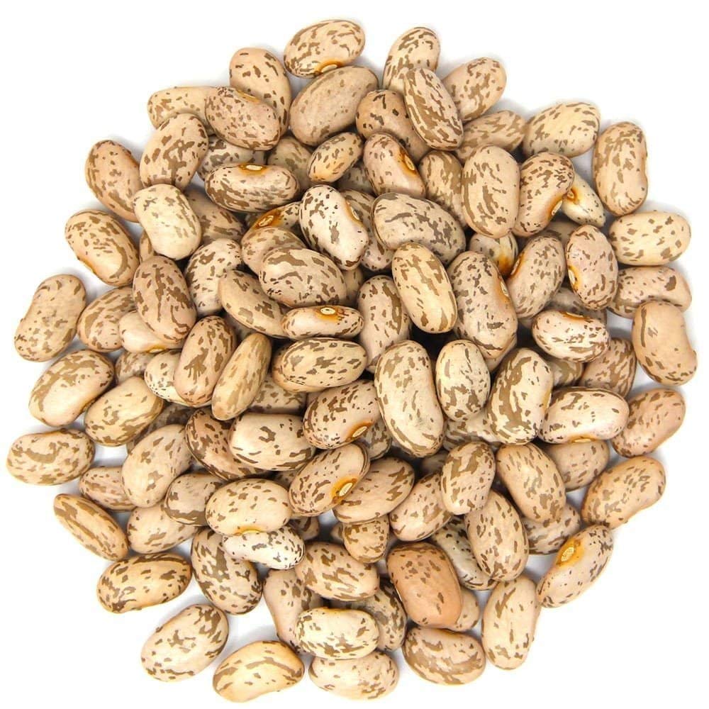Pinto beans