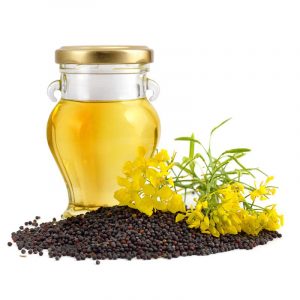 Refined Canola Oil