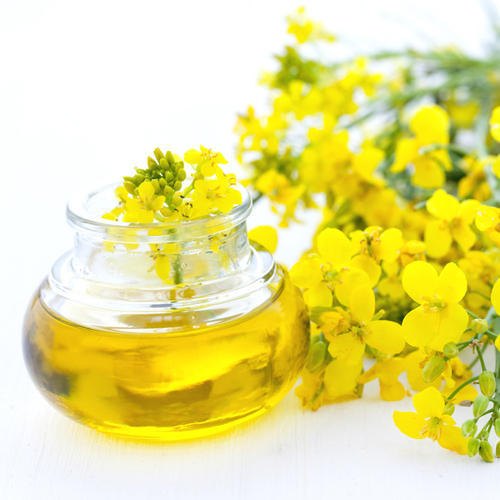 Rape Seed Oil