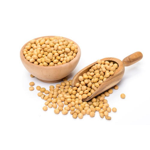 Soyabean Seeds